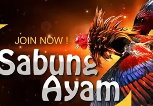 Judi Sabung Ayam