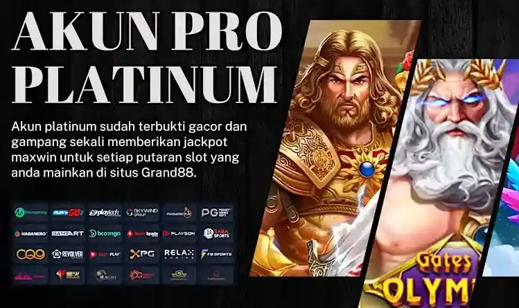 Akun Pro Platinum