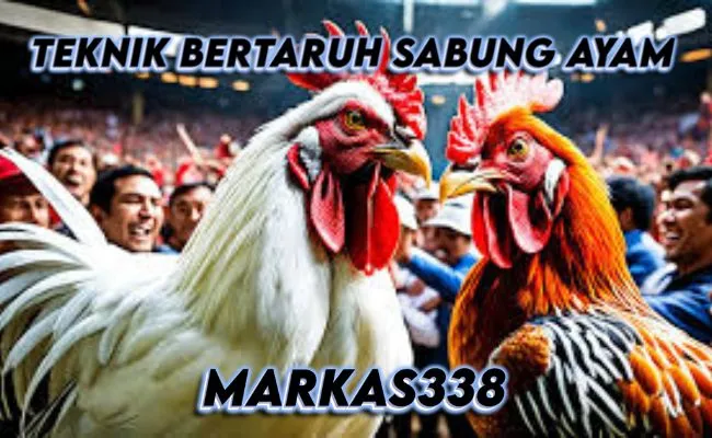 Teknik Bertaruh Sabung Ayam