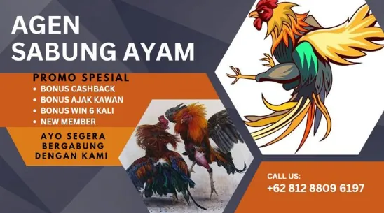 Sabung Ayam Online 303